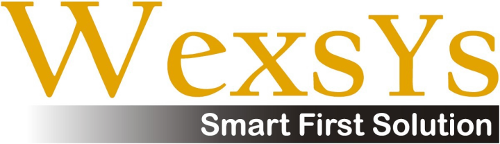 Wexsys — Smart First Solution